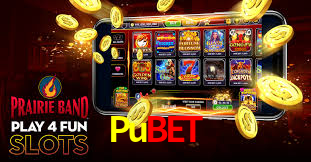 Pubet